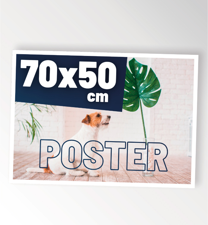 Poster Carta Fotografica 70x50 •